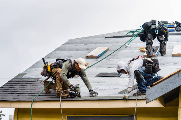 Professional Gutter Installation technician working in Mc Allister, MT